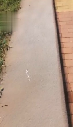 冷柔户外调_HD绳艺资源