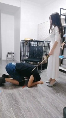 【冬莲】御姐教训圈养狗 bf18769