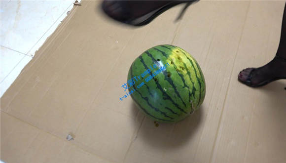 【冷柔】高跟鞋跟踩烂大西瓜