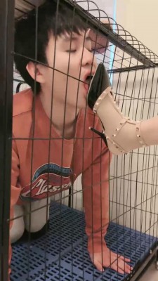 【安静/陌初】带闺蜜踩踏耳光舔鞋狗【双视角版】_HD绳艺资源