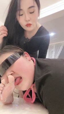 【安晴】你们的老婆我的狗 bf22437