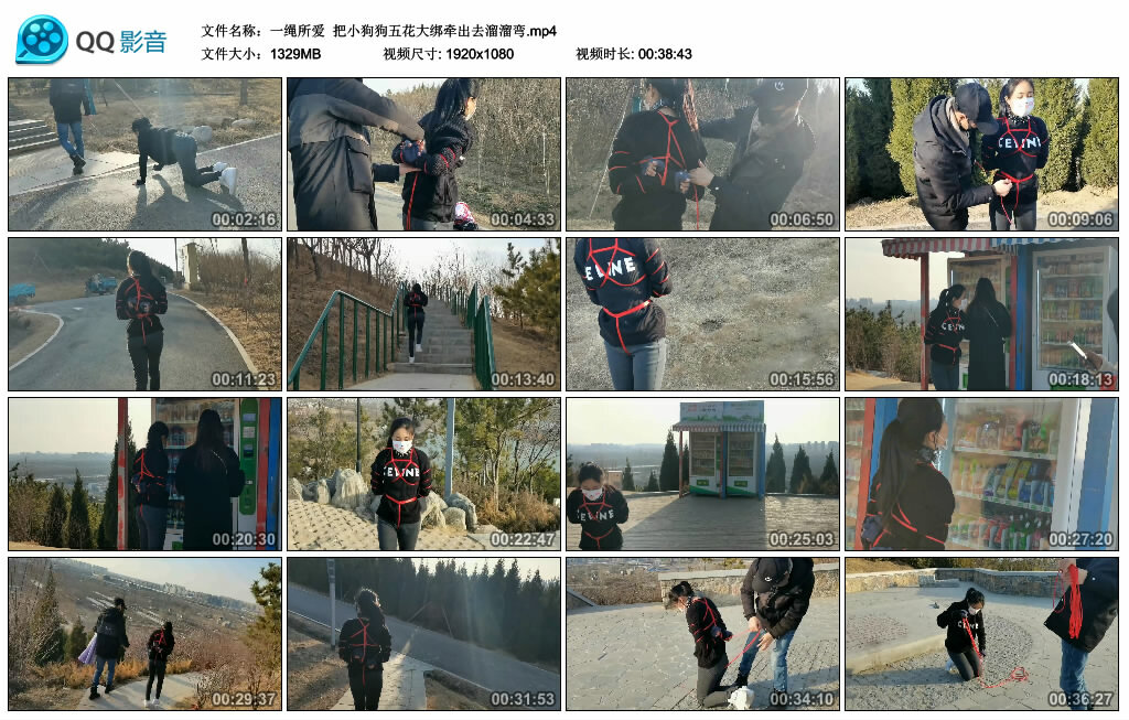 【一绳所爱】把小狗狗五花大绑牵出去溜溜弯_HD绳艺资源