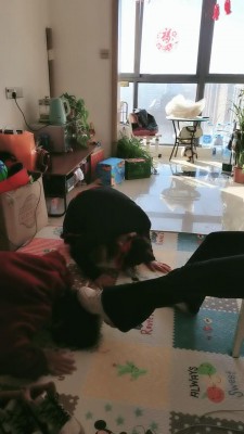 【君舞女王】开发母女当狗 bf23551