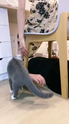 【骨精精】生活化tj贱奴才 bf19736