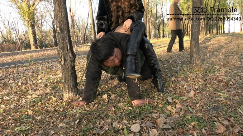 冷柔公园当众调狗