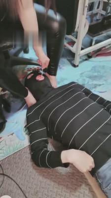 【西安欣】踩踏脚垫/强制喂食 bf12095