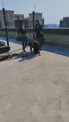 【雪儿】双S户外吃泥巴/踩踏 bf12000