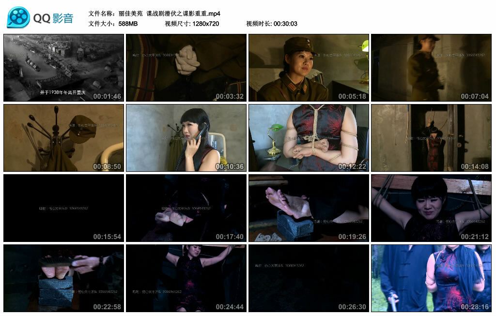 【丽佳美苑】谍战剧潜伏之谍影重重_HD绳艺资源