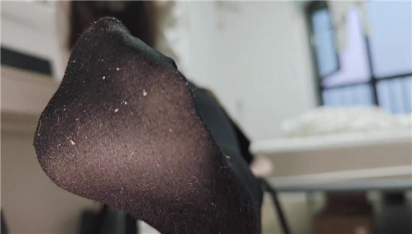 学生娇娇指令闻臭袜子_HD绳艺资源