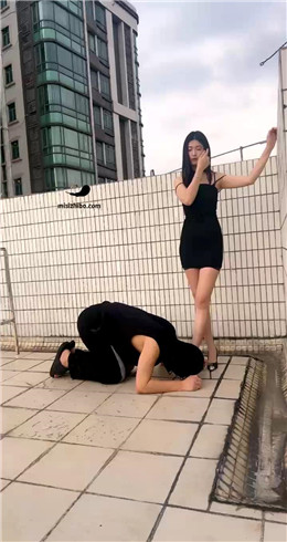 【Fiona菲菲】天台调教尾随狗 bf21488