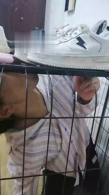 【小猫咪】关在狗笼里的废物狗【双视角】JS22090301