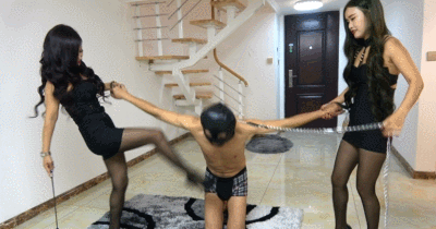 冷柔瑶瑶双主花样暴虐老贱狗_HD绳艺资源