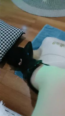 【米小唐】碾压踩奶狗 bf19693