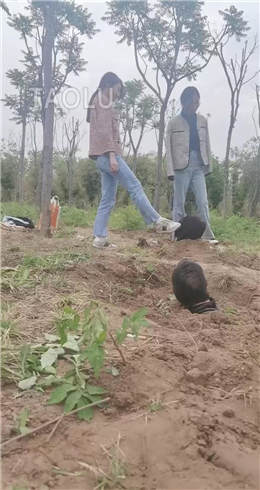 超强野外双S遛狗【上】 JS2204301_HD绳艺资源