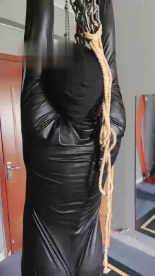 【东营天香百合】清晨对狗撒起床气 JS220902201