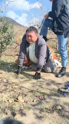 【简爱】户外袜子塞嘴虐打胖墩 bf19834