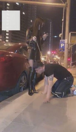 【VIVI】超刺激！午夜遛人形犬