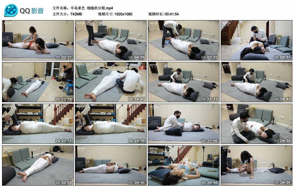 【半岛束艺】细胞的分裂_HD绳艺资源