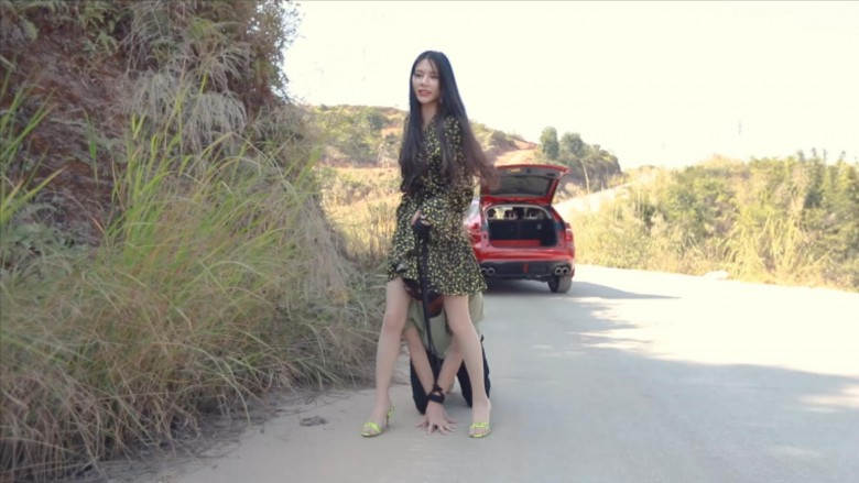 〖H.P.L栖心之栈〗—吐槽女司机的下场