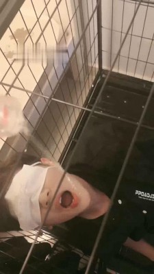 【陌初】多主群调圈养狗【四视角版】 JS220902202_HD绳艺资源