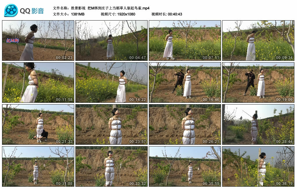 【胜景影视】把M绑到庄子上当稻草人驱赶鸟雀_HD绳艺资源