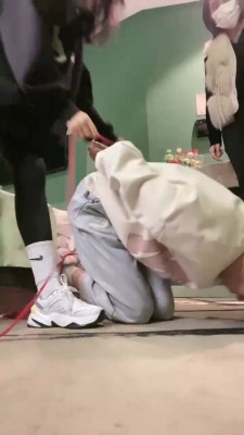 【萱萱子】双S羞辱04学生狗【双视角版】 bf19544