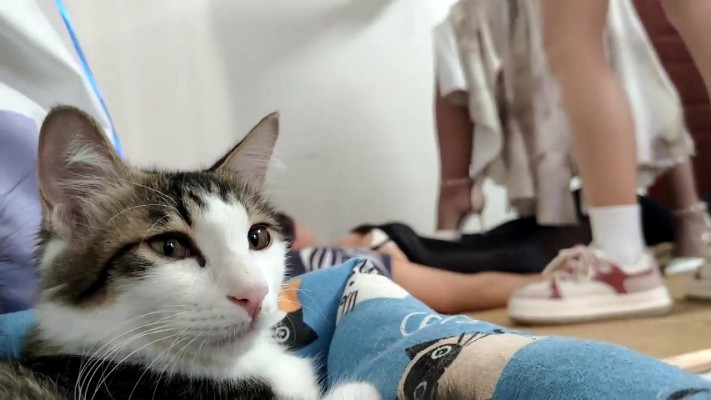 【00后蕬小乃】双人臭脚戏谑女M YC-220922-3