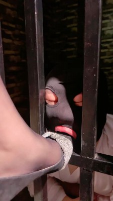 【莉莉丝】刑房囚禁狗狠抽逼供【双视角完整版】 bf22462_HD绳艺资源