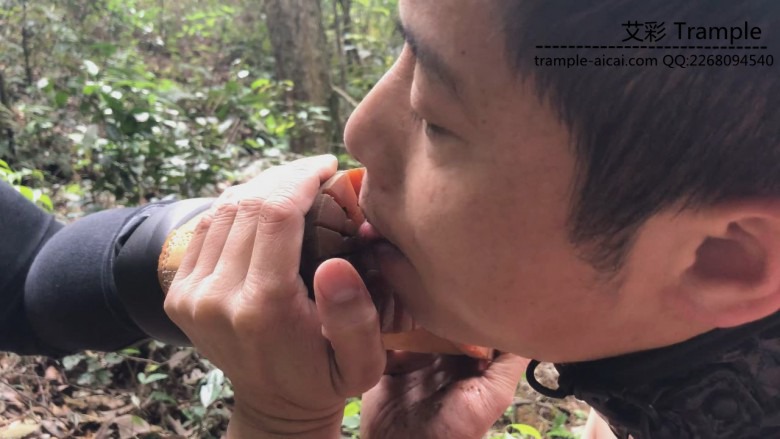 《湘香女王》野外负荆请罪的狗