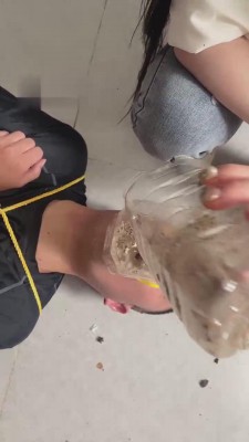 【领主老大】带素人闺蜜强制呕吐物专场 bf12172