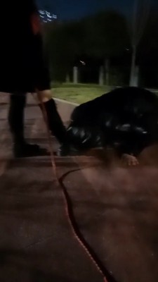 【雨雨大人】深夜路边遛狗 bf21916