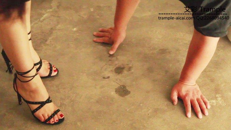 明妃S特务系列2