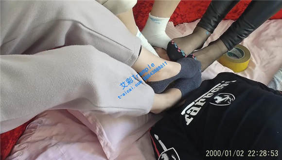 三S【吸臭脚垫气味训练】