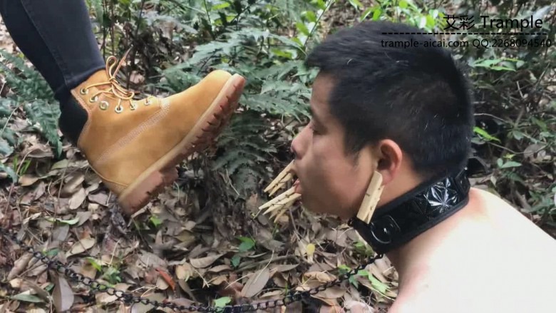 《湘香女王》野外负荆请罪的狗