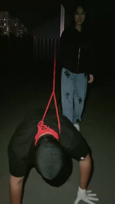 【小祖宗S】深夜户外溜贱狗 bf17894