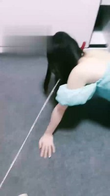 【清见S】捆绑羞辱训练女奴 bf17723