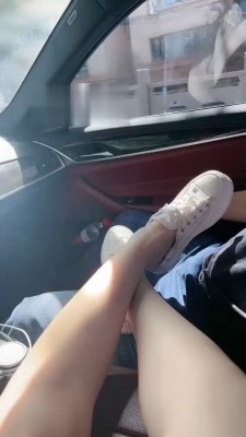 【思诺S】艺术训练户外放风的狗 bf18272_HD绳艺资源