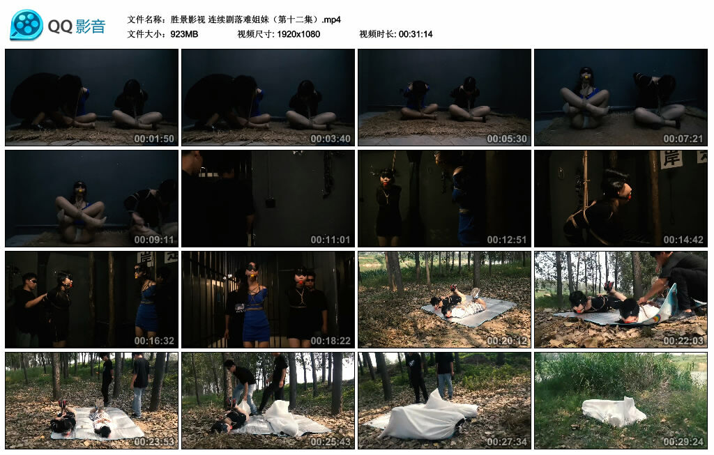 【胜景影视】连续剧落难姐妹（第十二集）_HD绳艺资源