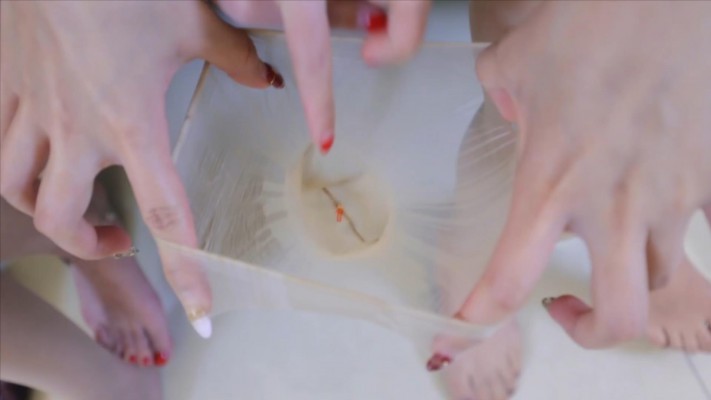 〖H.P.L栖心之栈〗—两女巨人毁灭小人GTS