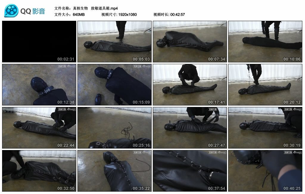 【真核生物】 致敬道具箱_HD绳艺资源