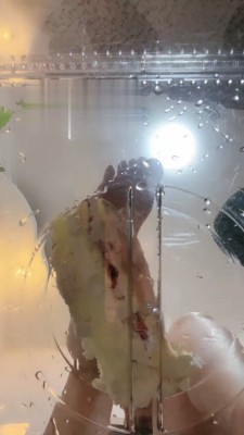 【鹿梦兮】圈养奴伺候全过程实录 bf17760