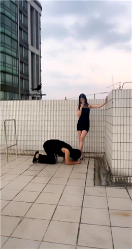 【Fiona菲菲】天台调教尾随狗 bf21488