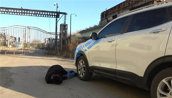 【冷柔】剧情 碰瓷男被美女司机反