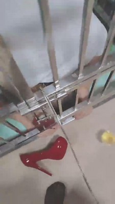 【乐姐】保姆一天的生活【上】 bf15294_HD绳艺资源