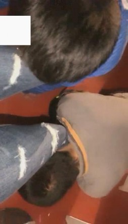 vivi,跨年夜车展遛狗